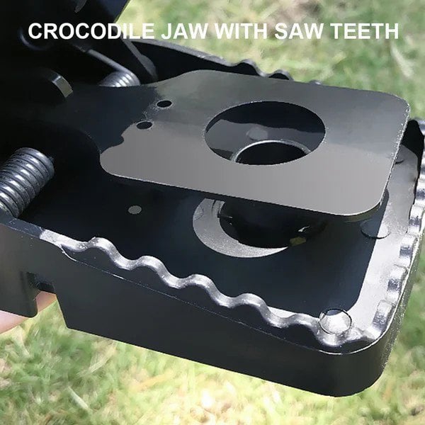 3 cfa182f6 59a2 451b b7b6 9da7422ad03e 1770000451801