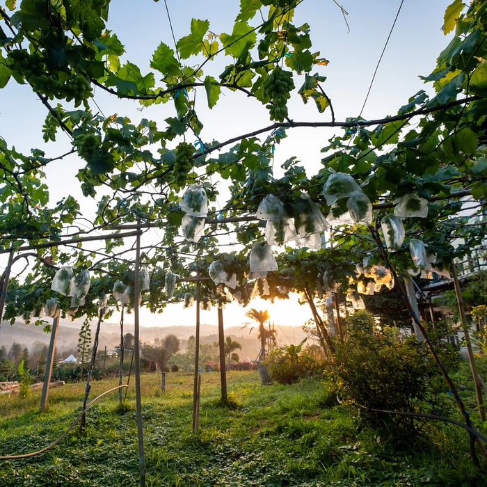 4 5f00d692 0a3a 426f bea0 2ff945b3cfbf 1769785648497